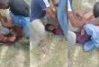 Balu De Viral Group Sex Video Link – Balu De Viral Sex Video